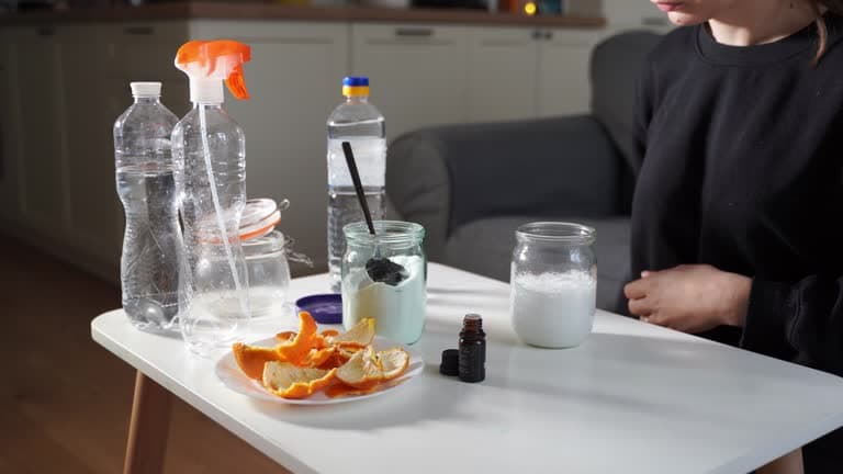 Best Natural Ingredients for DIY Eco-Friendly Cleaning Best Natural Ingredients for DIY Eco-Friendly Cleaning