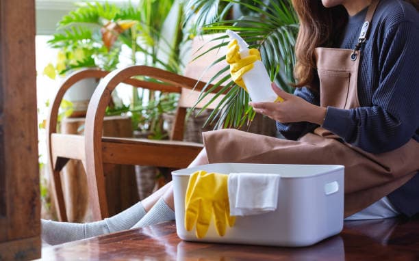 Eco-Friendly Cleaning Tips for Every Room in Your Home Article Thumbnail